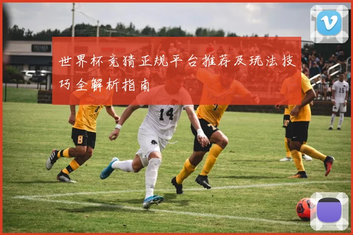 世界杯竞猜正规平台推荐及玩法技巧全解析指南