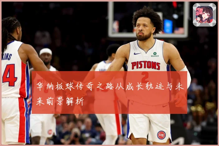 华纳板球传奇之路从成长轨迹与未来前景解析