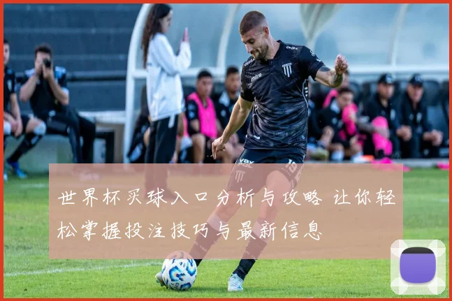 世界杯买球入口分析与攻略 让你轻松掌握投注技巧与最新信息