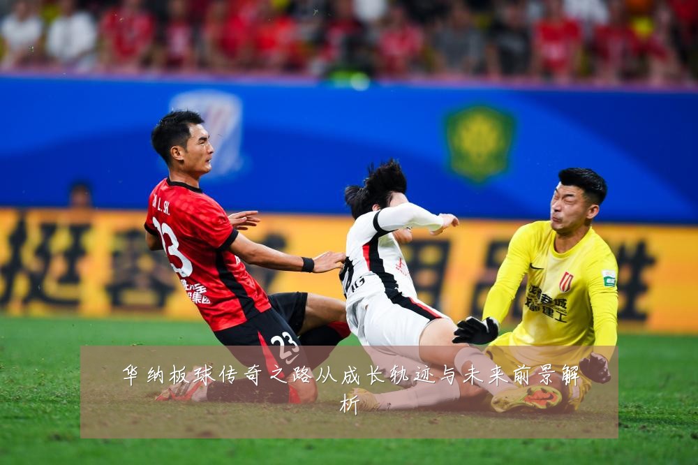 华纳板球传奇之路从成长轨迹与未来前景解析