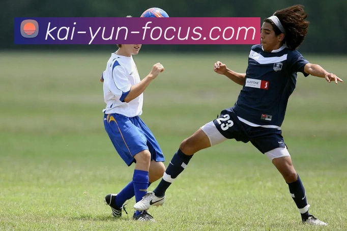 开云平台展示图