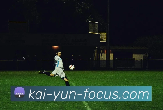 开云官网全站App